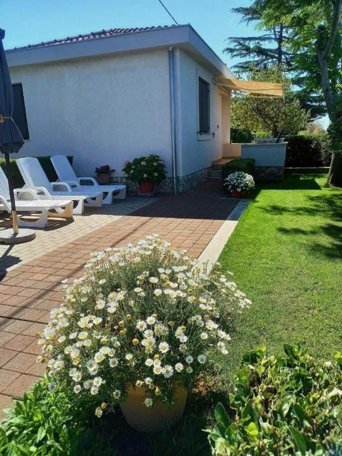 House Of Albina- 10 M Od Mora Hébergement de vacances
